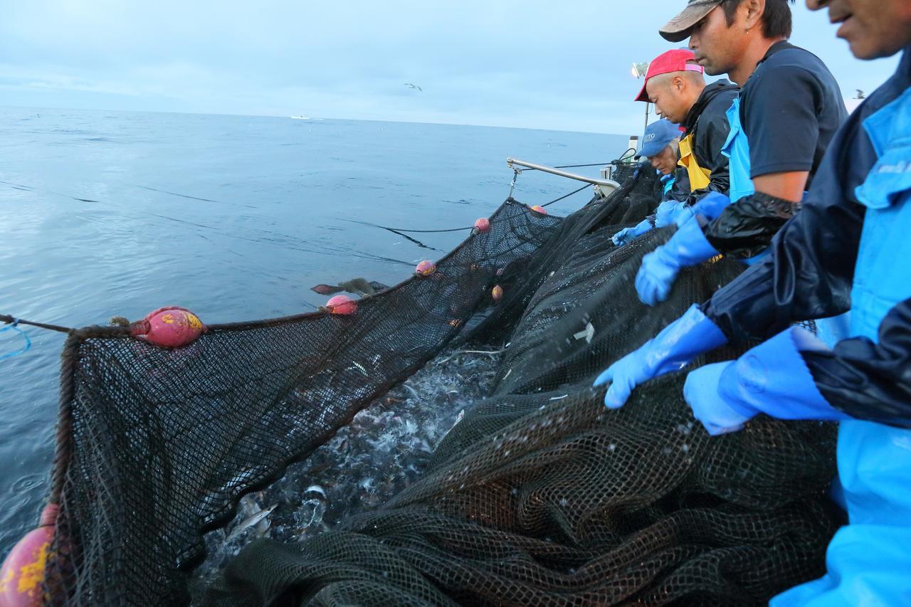 Hanashibuki Tateyama  Buitenkant foto